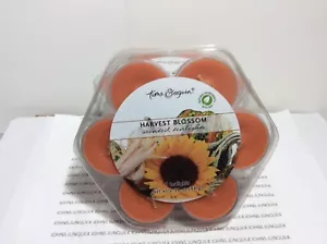 ERNTEBLÜTE TEELICHT KERZEN IMMER WIEDER NEU KUNSTSTOFF FENSTER BOX 2er SET - Bild 1 von 3