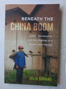 Beneath the China Boom by Julia Chuang (Paperback, 2020) - Picture 1 of 4