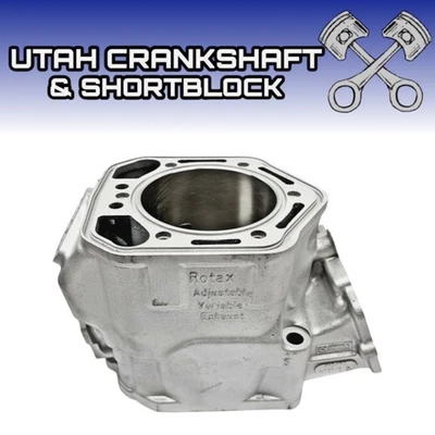 Replated STD Ski-Doo 800 HO Cylinder 2003-2007 MXZ GTX GSX LTD PTEK - Image 1 of 4