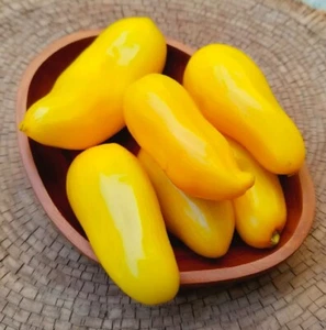 RARE 20 graines de TOMATE BANANA LEGS (Lycopersicum esc.)N301 TOMATO SEEDS - Picture 1 of 1