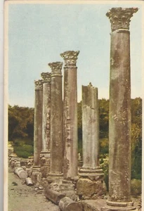 CIPRO vecchia rara cartolina raffigurante colonne corinzie-salamini anni '30 - Foto 1 di 3