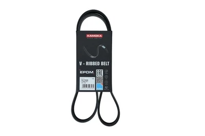 KAMOKA Courroie Poly-V Courroie d'accessoire 7017009 pour NISSAN MICRA IV (K13) - Photo 1/4