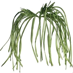 Set of 2 Realistic Artificial Botanica Long Cascading Green Foliage Leaf Stems - Picture 1 of 6