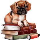 Cute Dog With books Wall Art Library Nursery Colourful Vinyl Sticker Decal z480