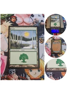 Magic the Gathering Forest ( V.2 ) Coldsnap Themendecks DE NM MTG Wald Snow - Bild 1 von 5