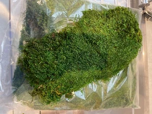 Premium Preserved Carpet Moss 500g bags.Ideal for floral work and wall art - Picture 1 of 2