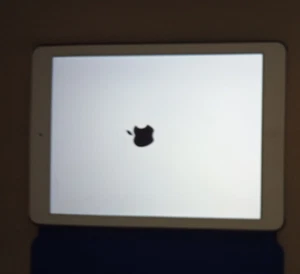 Apple iPad Air 1st Gen. 16GB, Wi-Fi 9.7" silver- Bundle w/case, cable & keyboard - Picture 1 of 6