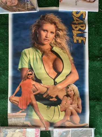 WWE WWF Wrestling Diva Sable Sexy Cleavage Pinup Poster 24X36 (New/Sealed) Cover