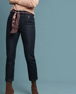 Pilcro / ANTHROPOLOGIE 女式 28 全新带标签深蓝色牛仔短牛仔裤 — 第 1/4 张图片