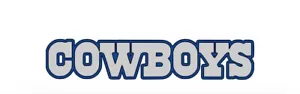 Dallas Cowboys 6” Vinyl decal Sticker NFL bumper window car Free Shipping - Picture 1 of 3