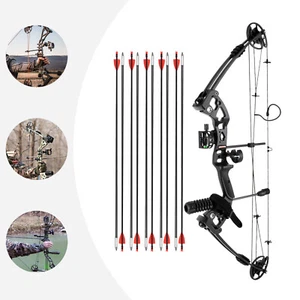 Compound Bow Kit with 12 Arrows Right Hand Archery Hunting Set Black 30-55lbs - Picture 1 of 22