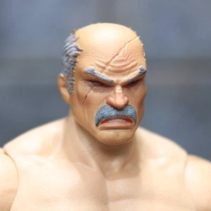 1/12 Custom Head Sculpt Invincible Comic Conquest Viltrumite Mentor - Bild 1 von 2