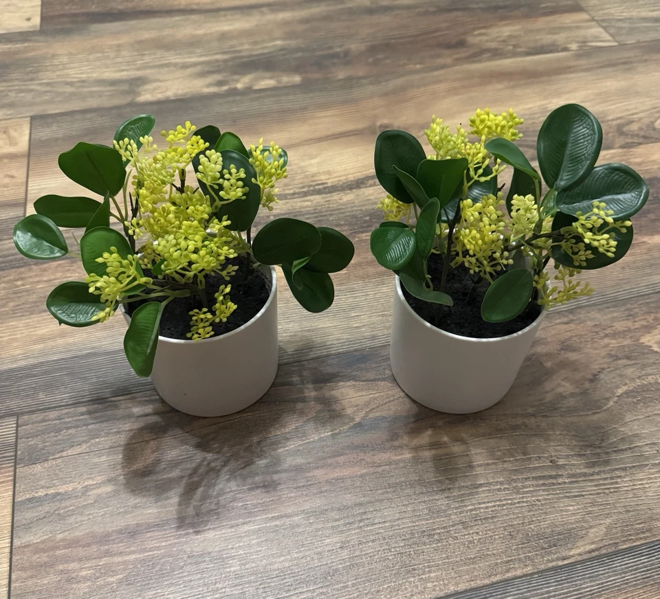Small Faux Artificial Potted Plants, 2-Pack, Indoor Use - Image 1 of 1