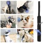 Suction Cup Artifact Bath Fixed Suction Cup Black Pet Leash Suction Cup