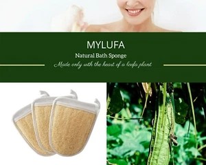3Pcs. Natural Bath body face scrub exfoliator, Organic plant based bath sponge. - Picture 1 of 7