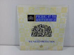 PICNIC AT THE WHITEHOUSE WE NEED PROTECTION    DISCO  45 GIRI VINILE  - Bild 1 von 2