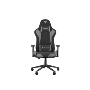 Gaming-Stuhl Genesis NITRO 440 G2 Weiß Grau - Bild 1 von 1