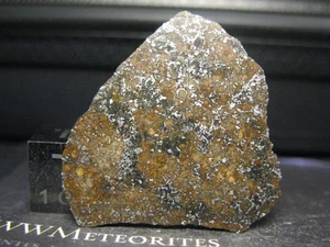 Meteorite NWA 15468 - Ungrouped Chondrite : OC4-Melt Breccia - Picture 1 of 3