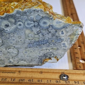 Galaxy Jaspis aus Mexiko. Tolles, einzigartiges Farb- und Augenmuster. 2 Pfund 12,3 Unzen - Bild 1 von 12