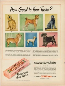 1947 Clark's Teaberry Chewing Gum Candy Vintage Old Print Ad Pittsburgh Penn - Picture 1 of 8