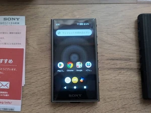 SONY NW-A306 Gray WALKMAN 32GB Hi-Res Audio Player English Language Used - Picture 1 of 5