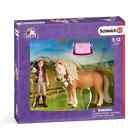SCHLEICH Horse Club GROOM WITH ICELANDIC PONY #41431, BRAND NEW in BOX, Rare
