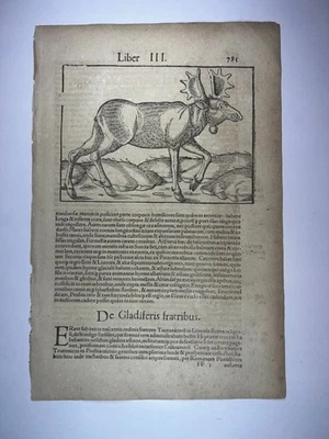 Muenster Cosmography - woodcut print 1559 - Moose - Image 1 of 2