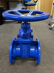 DN100 4" Duvalvco Gate Valve New - Picture 1 of 4