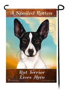 Un Rat Terrier blanco y negro recortado mimado vive aquí - Imagen 1 de 1