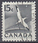 Canada timbrato animale uccellino marino uccellino acquatico fauna natura/104