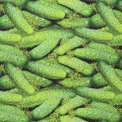 Fruits-Vegetables Fabric [45 in. Wide] – 100% Combed Cotton Material for Quil... - Изображение 1 из 3