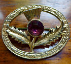 vintage Scottish purple rhinestone thistle flower brooch gold tone -98