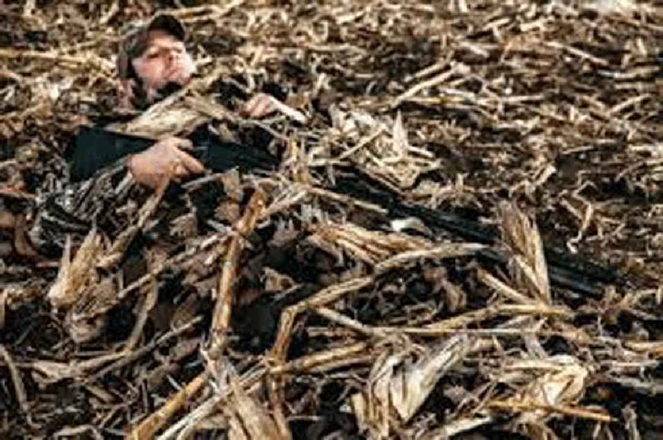 BEAVERTAIL CHISLED PLOWED FIELD CONCEALMENT BLANKET - Image 1 of 1