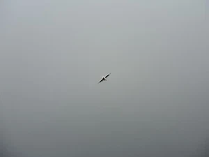 Unruhwelle für TISSOT 12´´, cal. 27, 27T, 27-2, 27-2T, balance staff - Picture 1 of 1