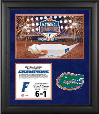 Florida Gators Framed 2017 Baseball College WS Champs 20x24 Collage Cover