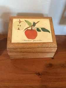 Vintage 90’s Country Apple Wooden Recipe Box With Lid & Original Category Cards - Picture 1 of 12