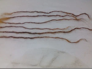 100% cabello humano hecho a mano rastas 100 piezas 8-14" Sisterlock Repuesto rubio - Imagen 1 de 6