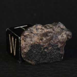 Météorite NWA 869 Croute de Fusion de 3,47 g Chondrite de type L3-6 - Picture 1 of 8