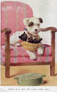 VINTAGE ART postcard: FOX TERRIER DOG & BLACK KITTEN CAT Florence Valter - Picture 1 of 1
