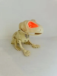 Pan Asian Creations animiertes Halloween Skelett Frosch beleuchtet mit Sound - funktioniert - Bild 1 von 9