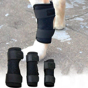 Dog Knee Brace Leg Brace for Sprain ACL Arthritis Joint Pet Dog Back Leg Support - Picture 1 of 15