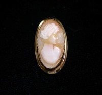 Vintage Antique Victorian Carved Shell Cameo Catamore 12k Gold Filled Brooch Pin