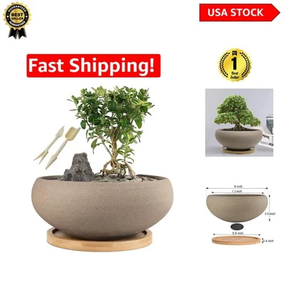 Versatile 8-Inch Rustic Ceramic Pot with Drainage Hole for Succulents & Plants - Image 1 of 4