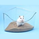 Sand Container Acrylic Critter's Sand Bath Shower Room  Small Animal