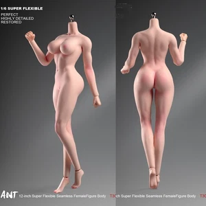 Figura de acción 1/6 mujer busto grande pálido fitness niña maquillaje cuerpo sin costuras para 12" - Imagen 1 de 24