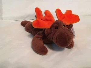 TY Beanie Baby - CHOCOLATE the Moose - makellos mit neuwertigen Etiketten - PE-Pellets ZURÜCKGENOMMEN - Bild 1 von 1
