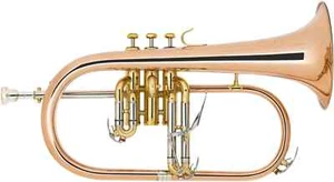 Lechgold FH-60G Flügelhorn Bügelhorn Brass Blasinstrument Mundstück Leichtkoffer - Bild 1 von 9