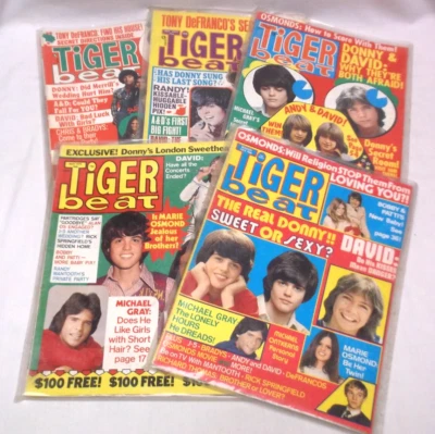1973 Tiger Beat Teen Magazines Group of 5 David Cassidy Donny & Marie Etc - Image 1 of 4