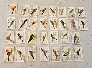 1922 Useful Birds of America Cards 3rd Series Complete Set of 30 Arm & Hammer - Picture 1 of 16