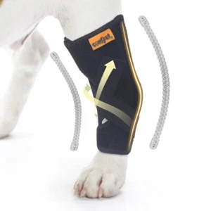 Dog Leg Brace for Rear Hock Dog Leg Support Wrap with Metal Strips Dog Leg Wa... - Picture 1 of 6